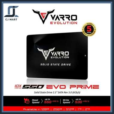 SSD VARO 128GB / 256GB / 512GB / 2TB Varro Evo Prime Garansi Resmi 256GB