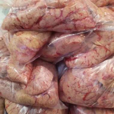 Telur Ikan Patin 500gr