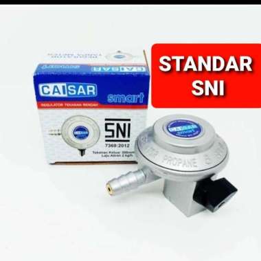 Regulator Caisar Smart Silver Regulator Meter