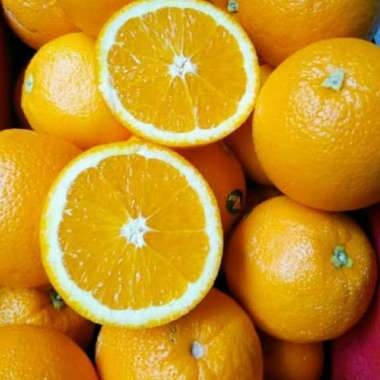 JERUK SUNKIST _ 1 kg.