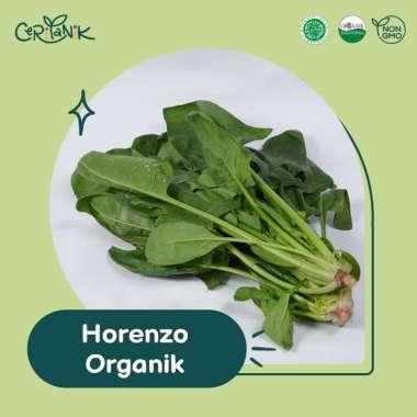 Horenzo Organik 250 gram - Ceritanik - Horenso Bayam Jepang Organik - Sayur Organik Murah - Sayur Or