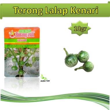 Jual Bibit Terong Online Baru Harga Termurah Juni 2020 Blibli Com