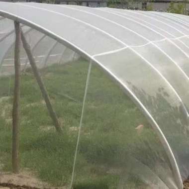 Insect Net ( Kasa Putih) Jaring pengaman tanaman dari hama greenhouse