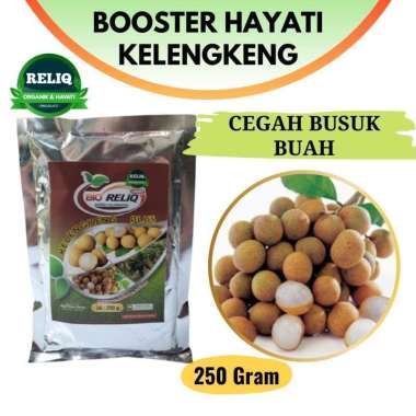 BERGARANSI PUPUK KELENGKENG, PUPUK BOOSTER BUAH KELENGKENG, PUPUK HAYATI KELENGKENG