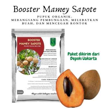 Pupuk Booster Mamey Sapote Pembungaan, Melebatkan Mencegah Rontok