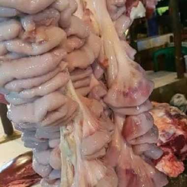 usus sapi mentah 1kg iso