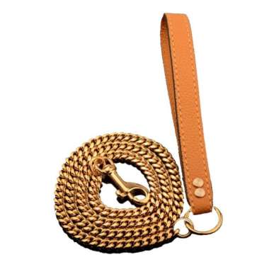 chain leash with leather handle