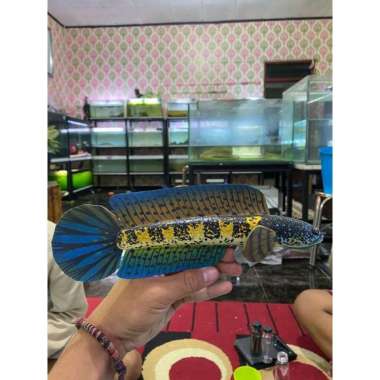 Patung channa Fajar Arief mental bar bar chana