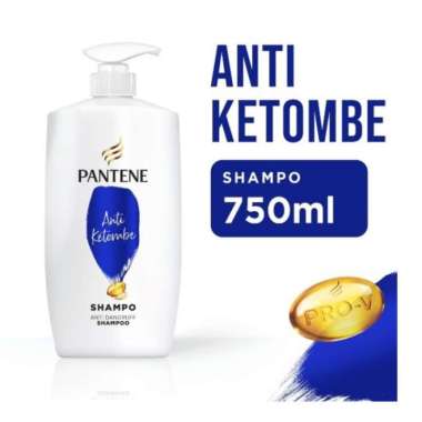 Promo Harga Pantene Shampoo Anti Dandruff 750 ml - Blibli
