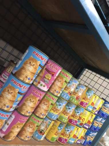 Makanan Kucing Basah Profelin Kaleng 400gr