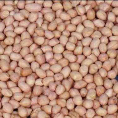 Kacang tanah mentah 1kg