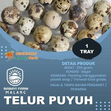 Telur Puyuh [1 Tray]