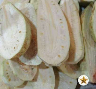 NANGKA MUDA SEBELAH (UTUHAN)