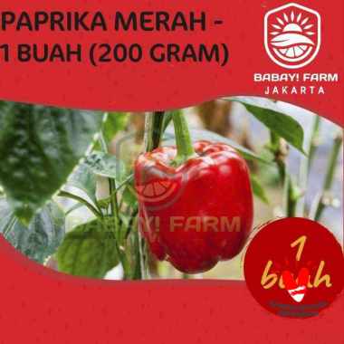 Paprika Merah 1 Buah