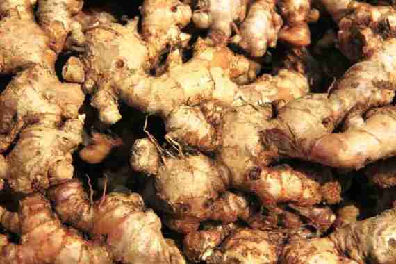 jahe kecil/jahe emprit/jahe putih 250 gram
