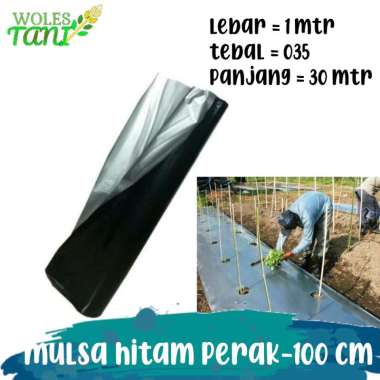 Mulsa Hitam Perak Lebar 1 Meter Panjang 30 Meter Multicolor