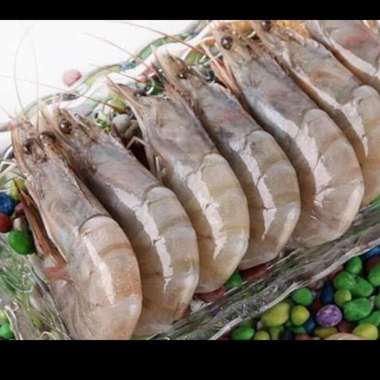 Udang Jerbung Segar/Udang Peci Besar 1 kg
