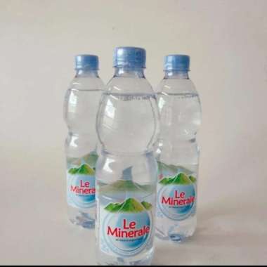 Le mineral 600 ml 1 karton - isi 24