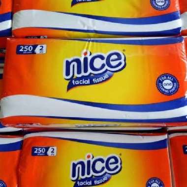 tissue nice 250 sheets
