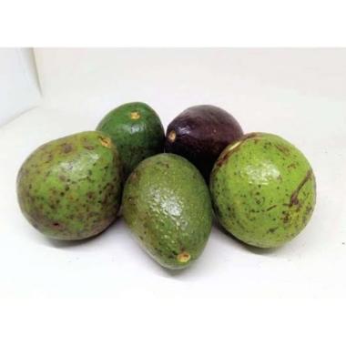 SayurHD buah segar Alpukat mentega biasa per 500 gram