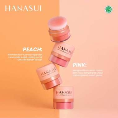 Hanasui Perfect Cheek Blush & Go 01 Pink
