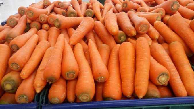 Harga wortel per kg