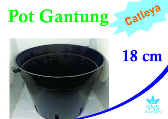 Pot Gantung 18 cm Bunga Anggrek Catleya Bulan Dendro Vanda Cattleya Dendrobium Bulat Plastik Hitam T