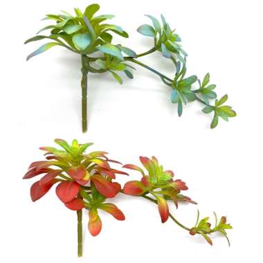 Scoop Tanaman Imitasi - Artificial Plant Sukulen Kaktus 60070900 variasi 01