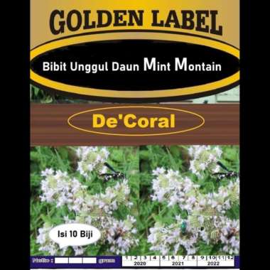 Bibit Unggul Daun Mint Montain | Benih Menthol Mint