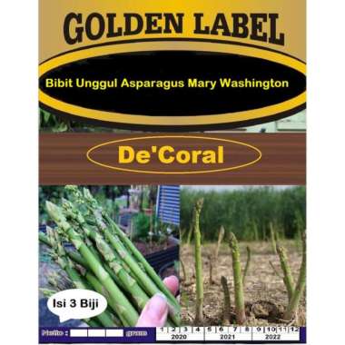 Bibit Unggul Asparagus Mary Washington|Benih Asparagus Mary Washington