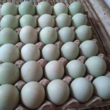 Telor Bebek Tawar Mentah [5 Butir] telor bebek omega