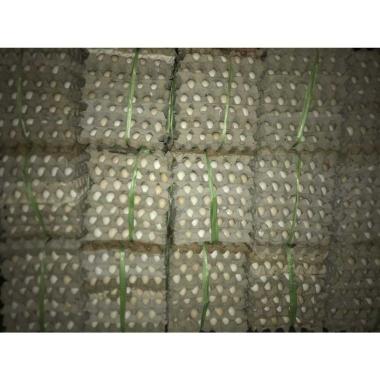 Telur Ayam kampung asli