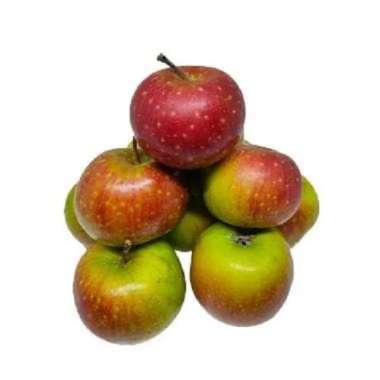 APEL MALANG CHERRY