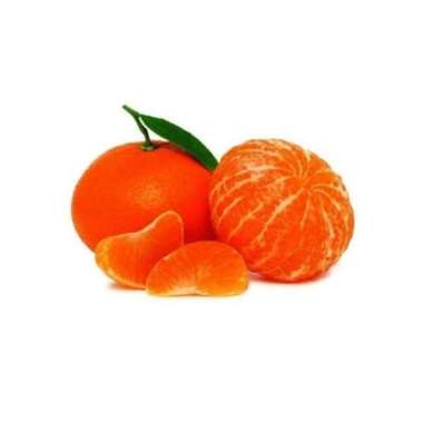 JERUK MANDARIN PAKISTAN