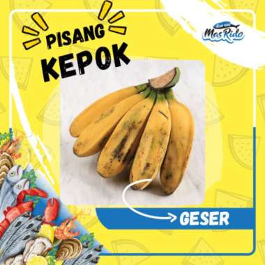 Pisang Ikan Terbaru Desember 2021 - Harga Murah u0026 Gratis Ongkir 