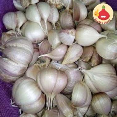 Bawang Putih Kating/Bawang Kating 1kg - Bawangbagus 500gr