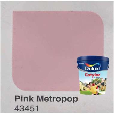 Cat Tembok Luar Dulux Catylac Exterior 5kg Pink Metropop