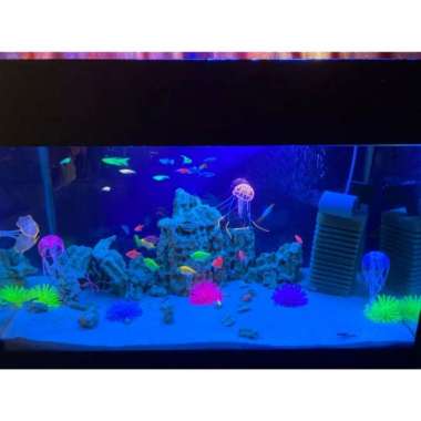 55 Koleksi Harga Dekorasi Aquarium Gratis Terbaik