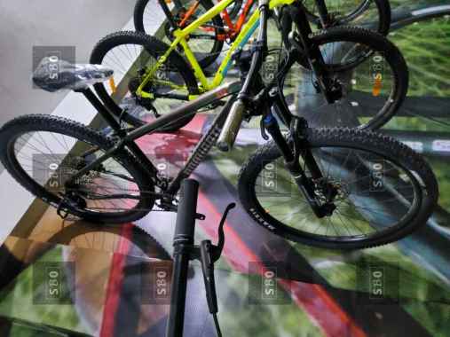 Dominate AXC 2 Elite