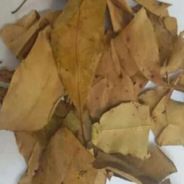 Daun cengkeh kering terlaris 1kg