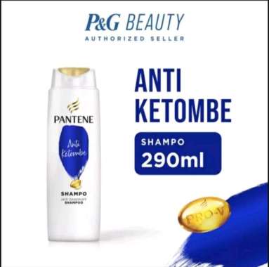 Promo Harga Pantene Shampoo Anti Dandruff 290 ml - Blibli