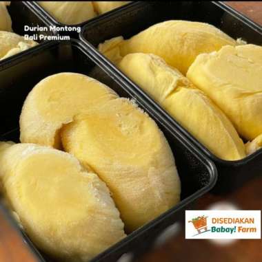 Durian Montong Bali Premium