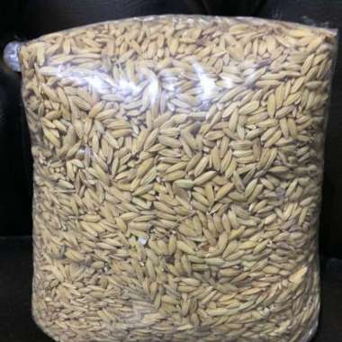 Gabah Beras Putih 1Kg - Pakan Ayam Unggas - Pakan Burung