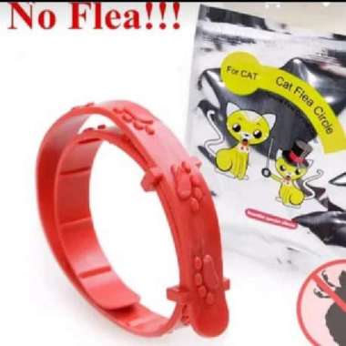 Kalung Kucing Anti Kutu Kucing