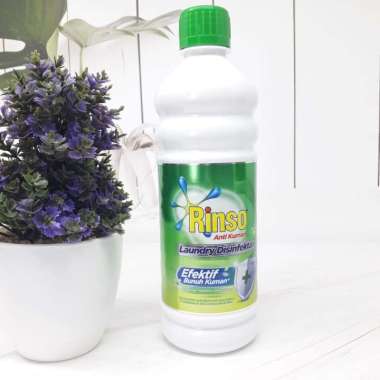 Promo Harga Rinso Laundry Disinfektan 450 ml - Blibli