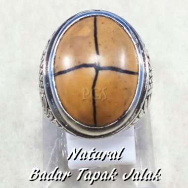 CINCIN BATU AKIK BADAR TAPAK JALAK GARIS PRESISI TERMURAH RING 8