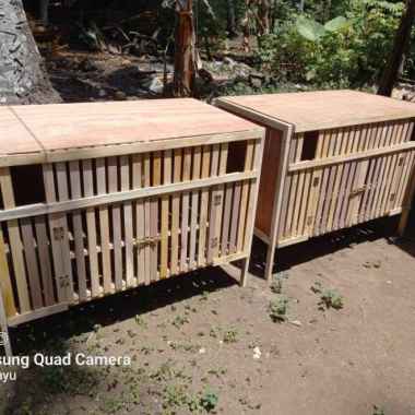 kandang ayam bangkok jago