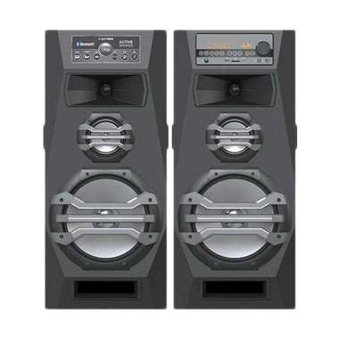 POLYTRON Pas 2A15 Active Speaker
