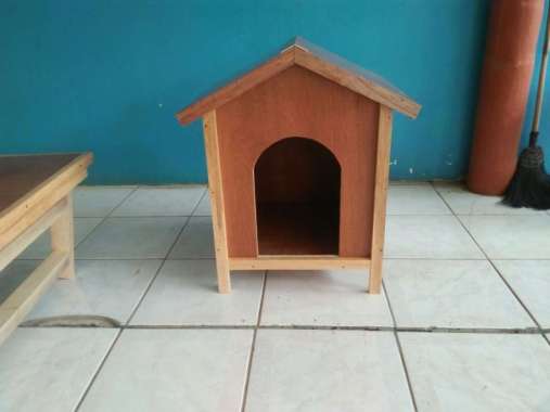 Bisa COD kandang kucing pintu terbuka.