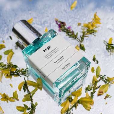 Bjorka Parfum AEGIR For Male